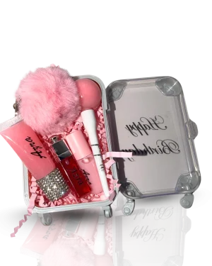mini suitcase